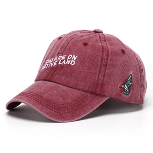Detail of burgundy washed cotton baseball cap with white embroidery and colorful hummingbird