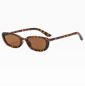 Detail view of vintage tortoise shell sunglasses frame with dark brown oval lenses