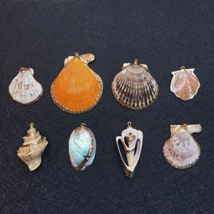 Set of eight natural seashell pendants with gold plated edges for DIY jewelry making
