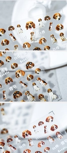 Macro view of realistic Beagle dog stickers with transparent backing and glossy finish