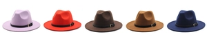 Detailed row of five wool fedora hats in purple, red, brown, caramel and navy blue