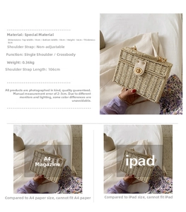 Details zur gewebten Strohbox-Tasche mit Maßen 19x14x8cm und goldener Kettenriemen