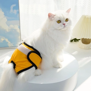 Détail de la culotte hygiénique jaune pour animaux avec fermeture velcro sur un chat