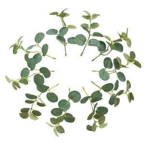 Macro detail of artificial eucalyptus leaves with natural white frost texture on branches