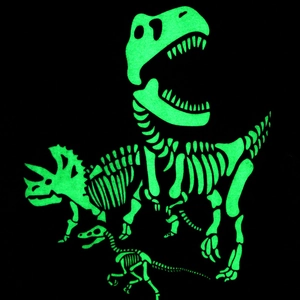 Luminous dinosaur skeleton print T-shirt for boys with glowing T-Rex and Triceratops art