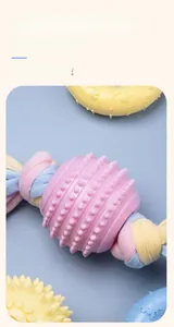Détail d'une balle en caoutchouc rose avec corde en coton pour chien robuste