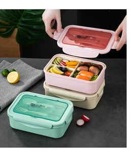 Detail of multi-compartment lunch box with built-in cutlery set and secure snap lid