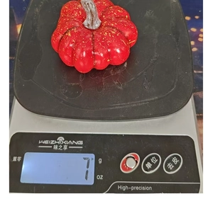 Close-up of a 7g lightweight red decorative mini pumpkin with golden glitter on a scale