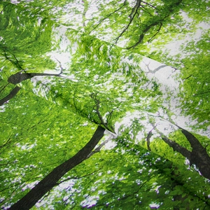 Dettaglio della trama del tessuto dell'arazzo forestale con motivi di alberi verdi vivaci