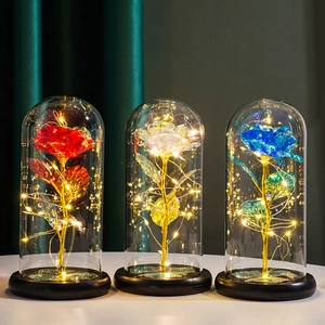 Detailed view of red, blue and rainbow gold foil roses in glass domes with LED lights