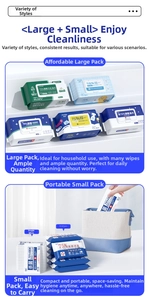 Detail of 75% alcohol sanitizing wipes showing bulk 80-pack and portable 10-pack sizes