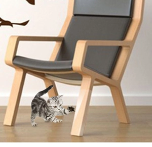 Transparent anti-scratch furniture guard film applied on wooden chair leg protecting from cats