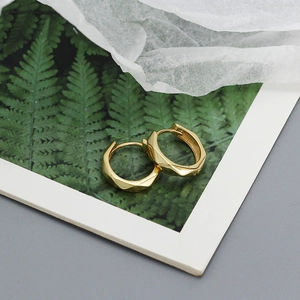 Close-up of golden irregular faceted hoop earrings on a decorative fern plant card
