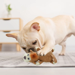French Bulldog chewing durable plush corn fleece squeaky toy on living room carpet