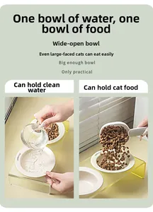 Dual elevated acrylic pet feeder with wide ceramic bowls for cat water and food