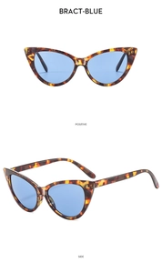 Macro view of blue lenses and tortoiseshell cat eye frames with metal hinge details