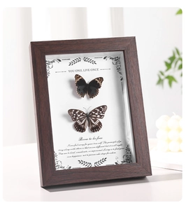Detail of vintage wooden frame with butterfly specimens and rustic home decor