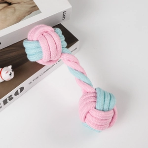 Makroaufnahme eines rosa-blauen Baumwollseil-Hantelspielzeugs zur Zahnpflege bei Hunden