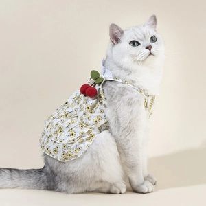 Detailed side view of floral pet dress with red cherry decor and lace trim on a white cat