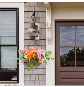 Close-up of hanging flower basket with mixed dahlia and ivy in coconut coir liner