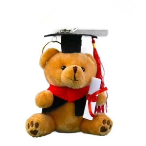 Portachiavi orsetto di laurea in peluche con nappa rossa e mini diploma regalo dolce