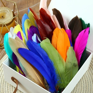 Close-up of vibrant multicolored goose feathers inside a white gift box for DIY crafts
