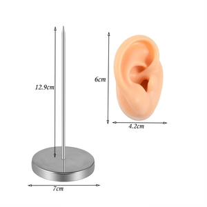 Silicone ear model on silver metal stand for jewelry display and piercing training