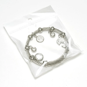 Silver steel wire bracelet with dolphin charm and crystal beads in clear packaging