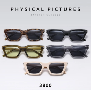 Collection of square frame sunglasses in leopard, black, olive, and grey colors