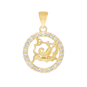 Detailed shot of a gold Aquarius zodiac pendant with sparkling zircon embellishments