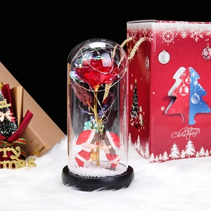 Close-up of a Christmas rose glass dome with LED lights, figurines and a red gift box