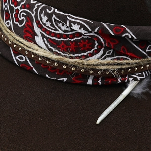 Detail of vintage wool cowboy hat with paisley band, rope and feather decoration