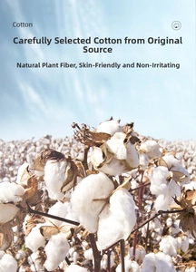 Close-up of raw blooming cotton flowers in a field showing natural fiber material