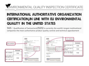 Official SGS environmental quality inspection certificate for S925 silver jewelry products