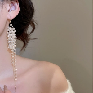 Close-up of elegant beaded tassel earrings with crystal clusters on model's side profile