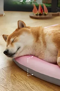 Detailed view of 6cm thick pink and grey cooling pet bed featuring a Shiba Inu sleeping