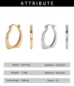 Détail de boucles d'oreilles géométriques en argent 925 avec incrustations de pierres CZ