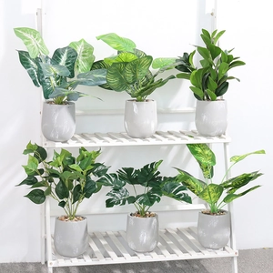 Set of 6 realistic faux green plants in grey ceramic pots on a white wooden shelf