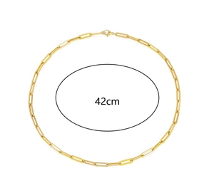 Golden 42cm paperclip chain necklace in 18K gold plated titanium steel detail view