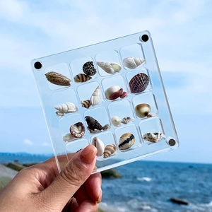 Handheld clear acrylic magnetic display box with 16 grids for tiny shells and sea specimens