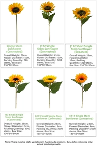 Detail view of single sunflower stems showing 6 sizes with 9cm to 15cm flower diameters
