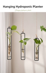Minimalist wall hanging hydroponic planter with glass tube and black metal frame