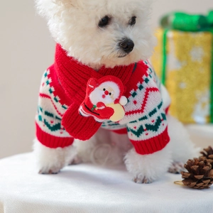 Chic Christmas knitted dog sweater and scarf set with Santa patch on a white Bichon