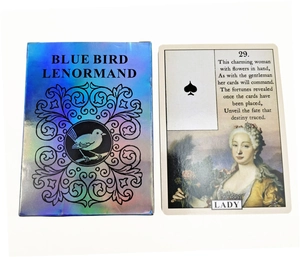 Macro detail of Blue Bird Lenormand Lady card with holographic bird pattern packaging