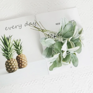 Artificial flocked lamb's ear leaf stems on a white magazine for home decor and styling