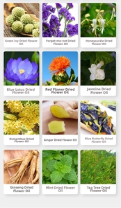 Detailed grid showing 12 varieties of 60ml essential oils with dried botanical flowers