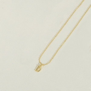 Macro view of gold-plated letter D pendant on a delicate chain necklace