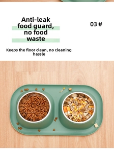 Detail of double stainless steel pet bowls with forest green anti-spill elevated base