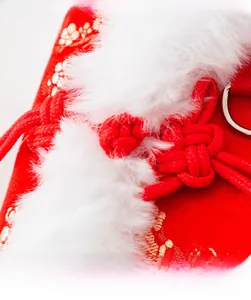 Close-up of red Chinese knot buckle and gold floral embroidery on cat New Year vest
