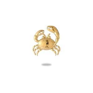 Macro shot of gold crab jewelry set showing detailed dotted texture and glossy finish